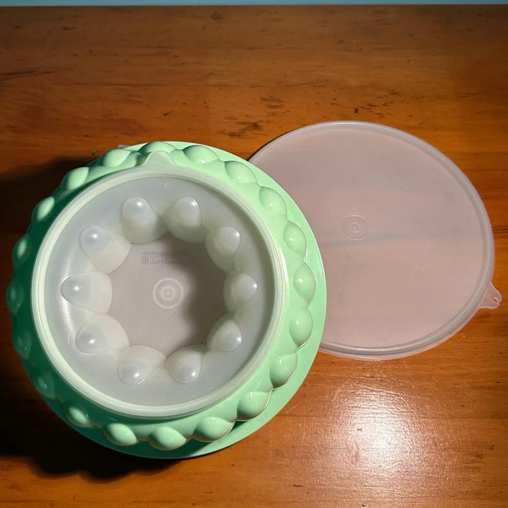 Nostalgic Summertime Picnic Potluck Vintage Tupperware Seafoam Green Jello Mold